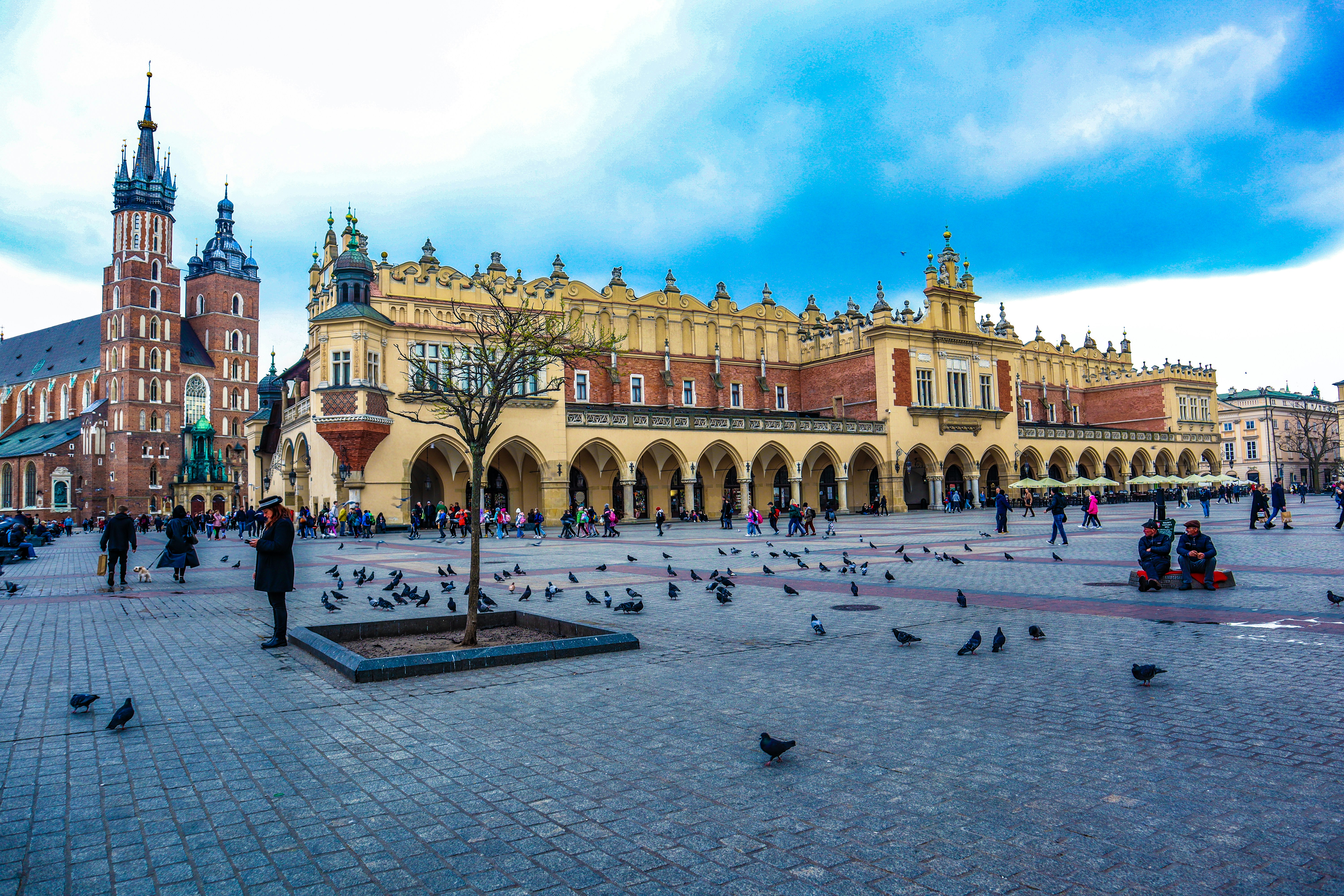 Rynek Główny w Krakowie w słoneczny dzień